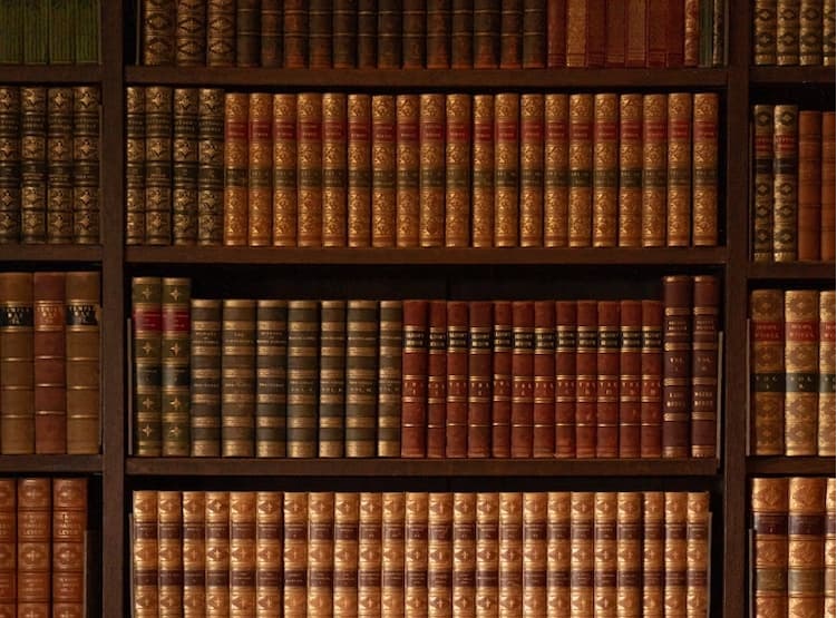 A shelf of books. 